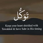 40+ Inspiring Tawakkul Quotes -Trust in Allah- (Images)